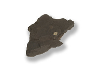 M 07511
<br/>
<br/>
<em></em>
